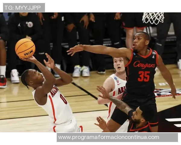 团队协作的力量：没有超级巨星的球队如何逆袭夺冠